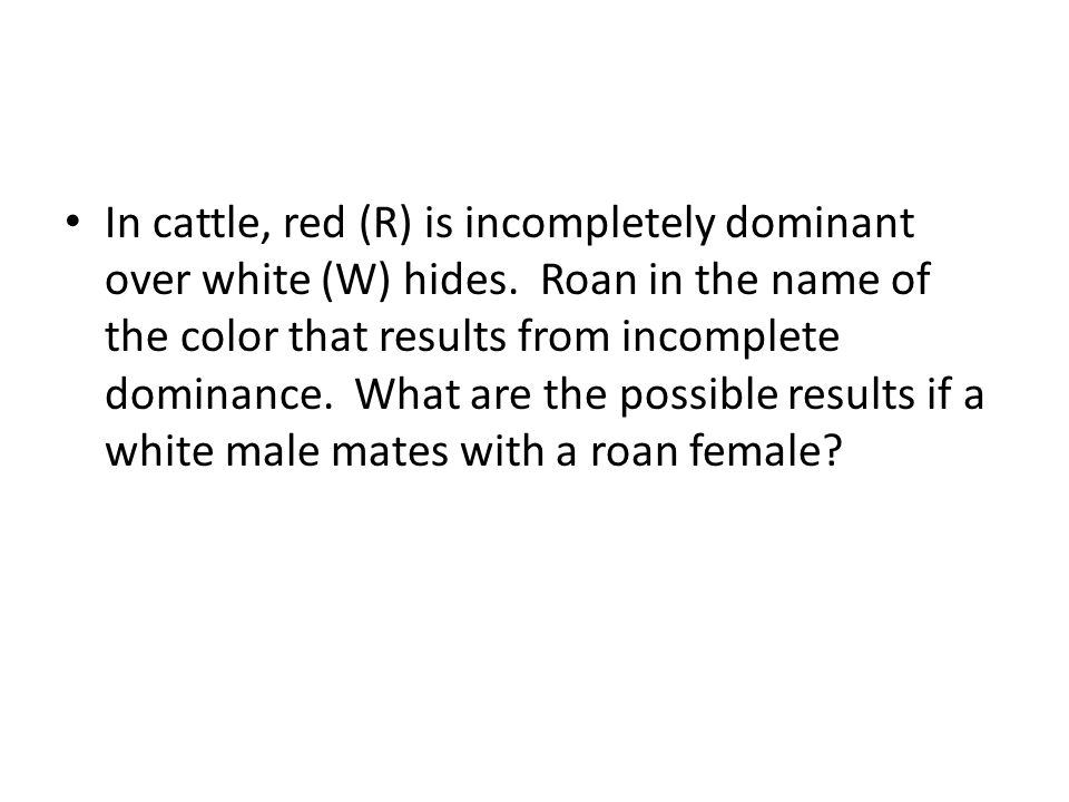 In cattle, red (R) is incompletely dominant over white (W) hides