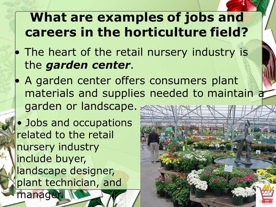 The Horticulture Industry Ppt Video Online Download Living organisms, such as flora or fauna; the horticulture industry ppt video