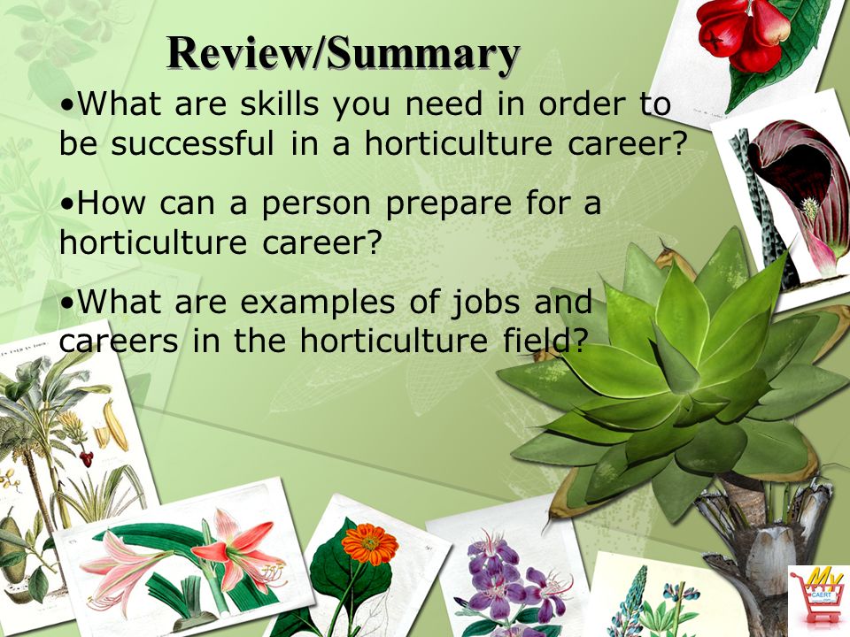 The Horticulture Industry Ppt Video Online Download