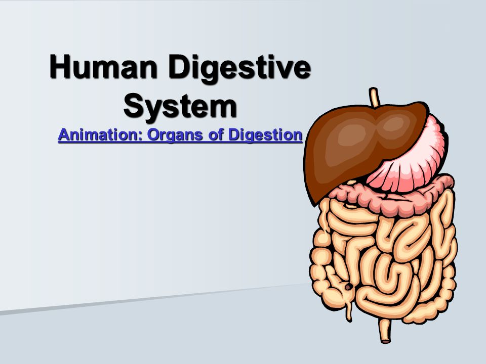 HUMAN ANATOMY & PHYSIOLOGY - ppt video online download