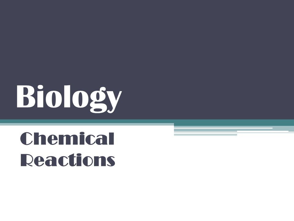 Biology Chemical Reactions