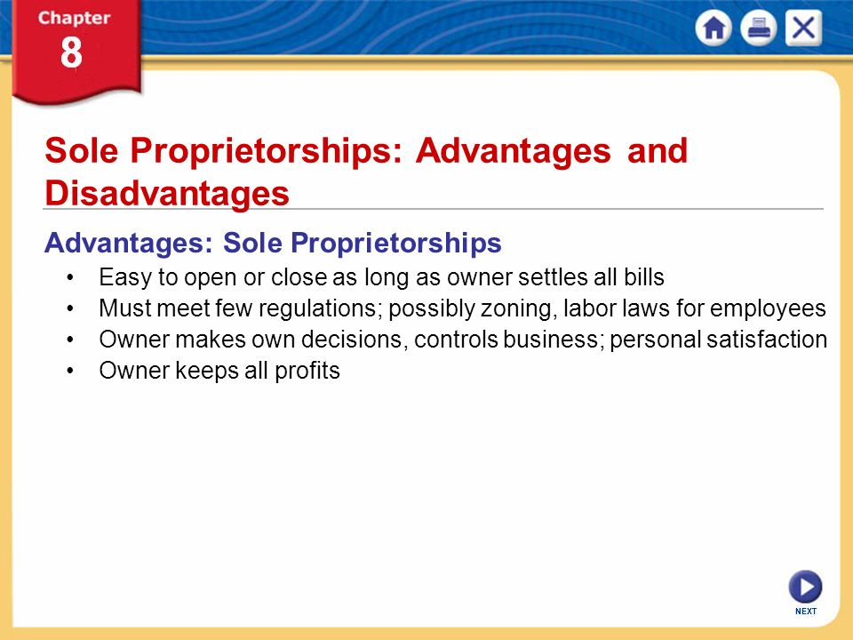 Sole Proprietorships: Advantages and Disadvantages