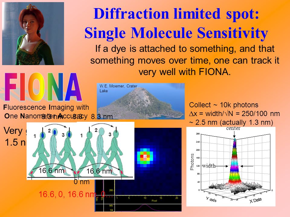 Diffraction limited spot: Single Molecule Sensitivity