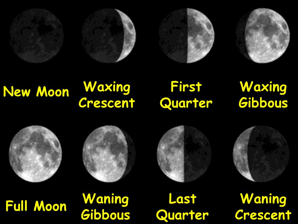 Moon matching. Фаза Луны Waxing Crescent Moon. First Quarter Луна. Waning Gibbous. Фазы Луны на английском.