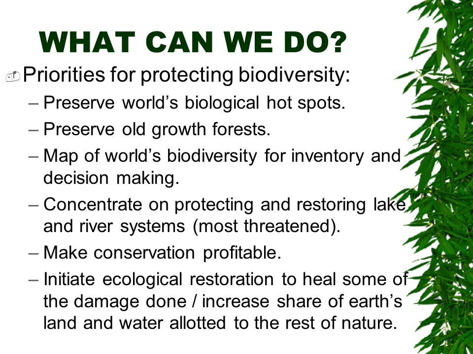 Human Impacts On Terrestrial Biodiversity - Ppt Video Online Download