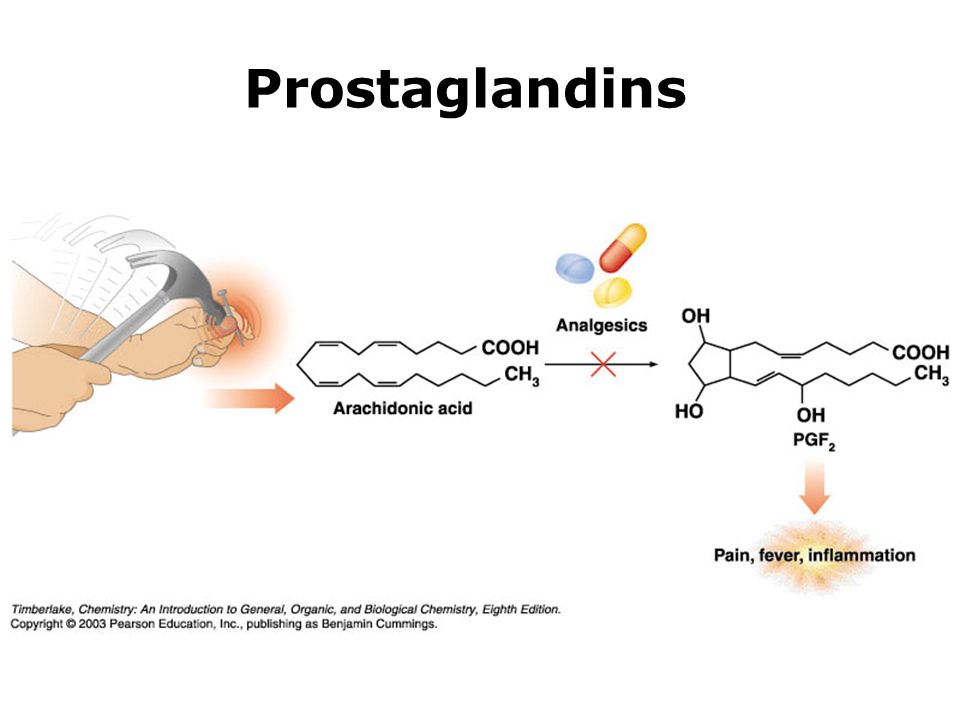 Biochemistry Lipids. - ppt download