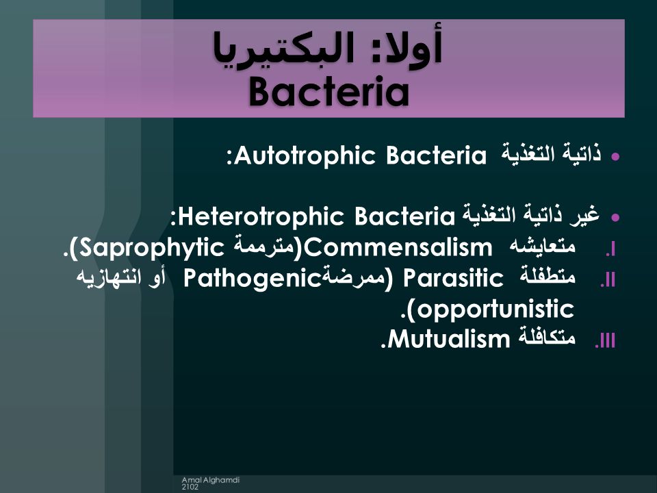 140 micro Lab 9 : Microorganisms - ppt download