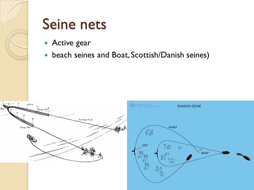 Fishing Gear - Overview - ppt video online download