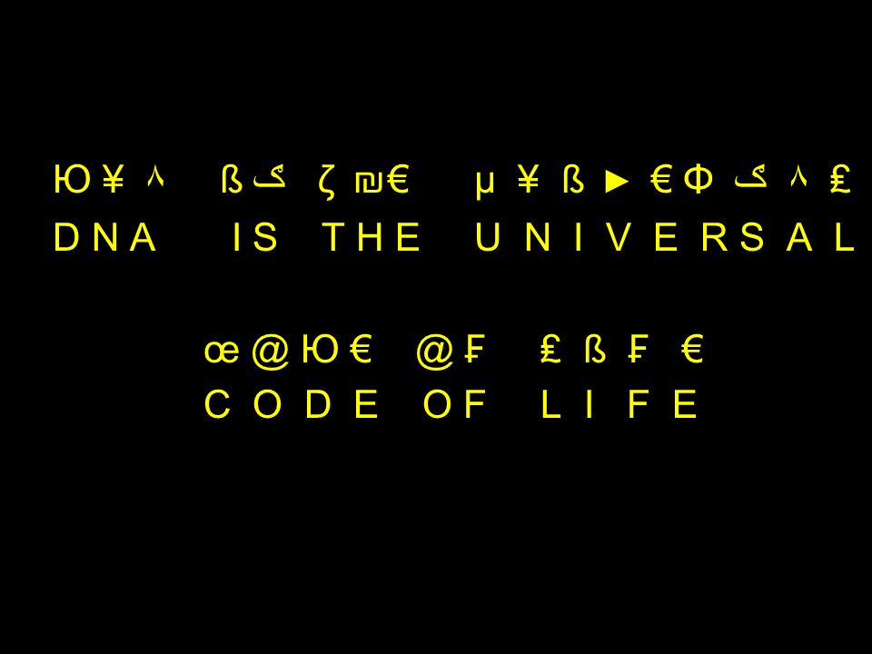 Dna Processes Replication Transcription Translation Ppt Video Online Download