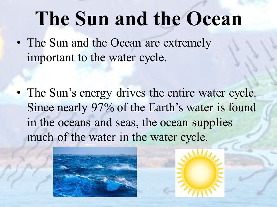 The Sun and the Ocean The Sun and the Ocean are extremely important to the water cycle.