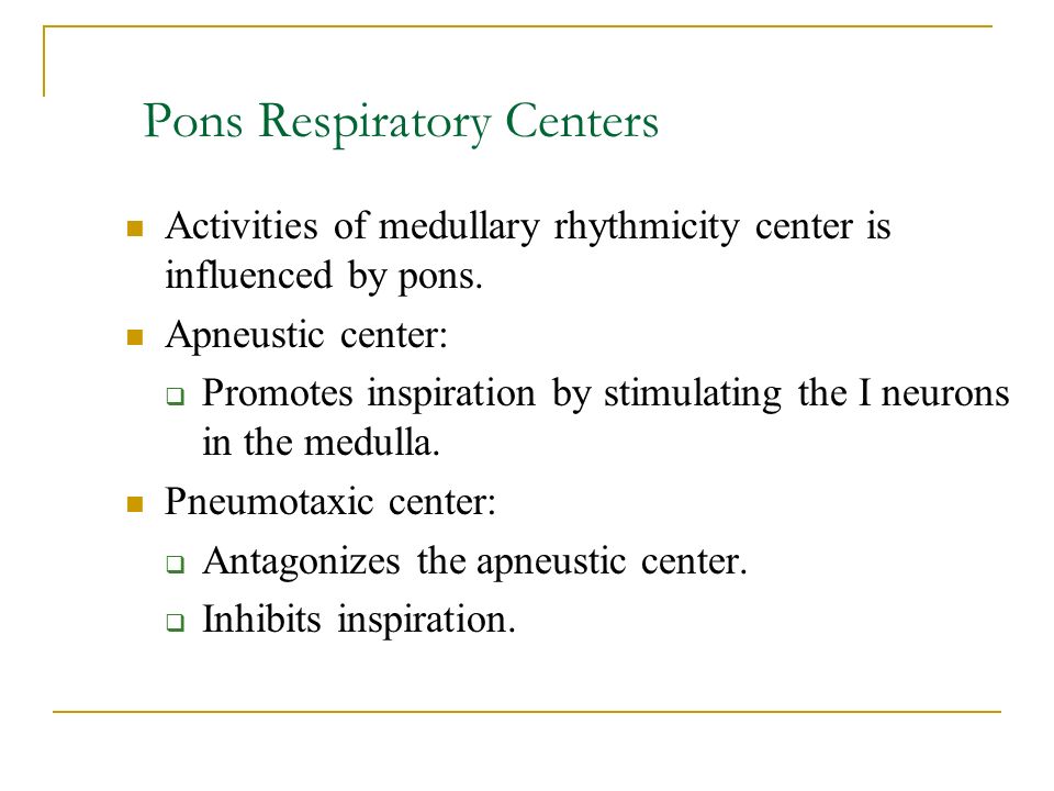 Pons Respiratory Centers