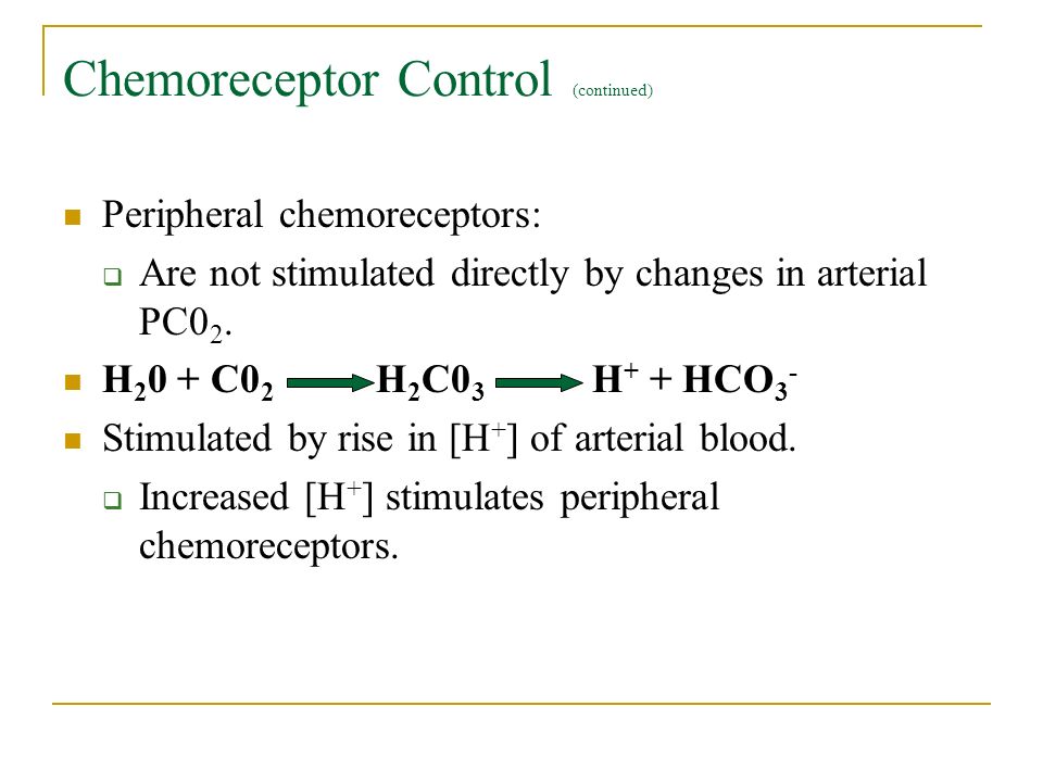 Chemoreceptor Control (continued)