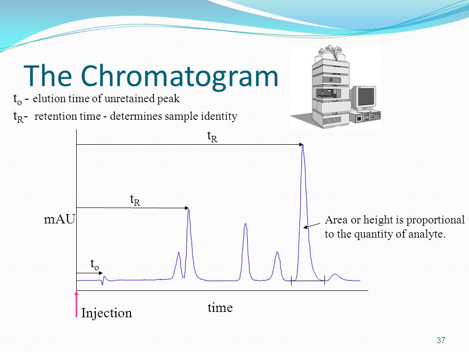 The Chromatogram to - elution time of unretained peak