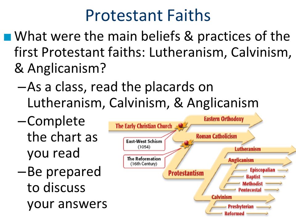 Essential Question What Caused The Protestant Reformation Warm