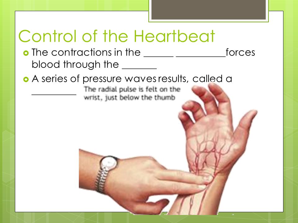 Control of the Heartbeat