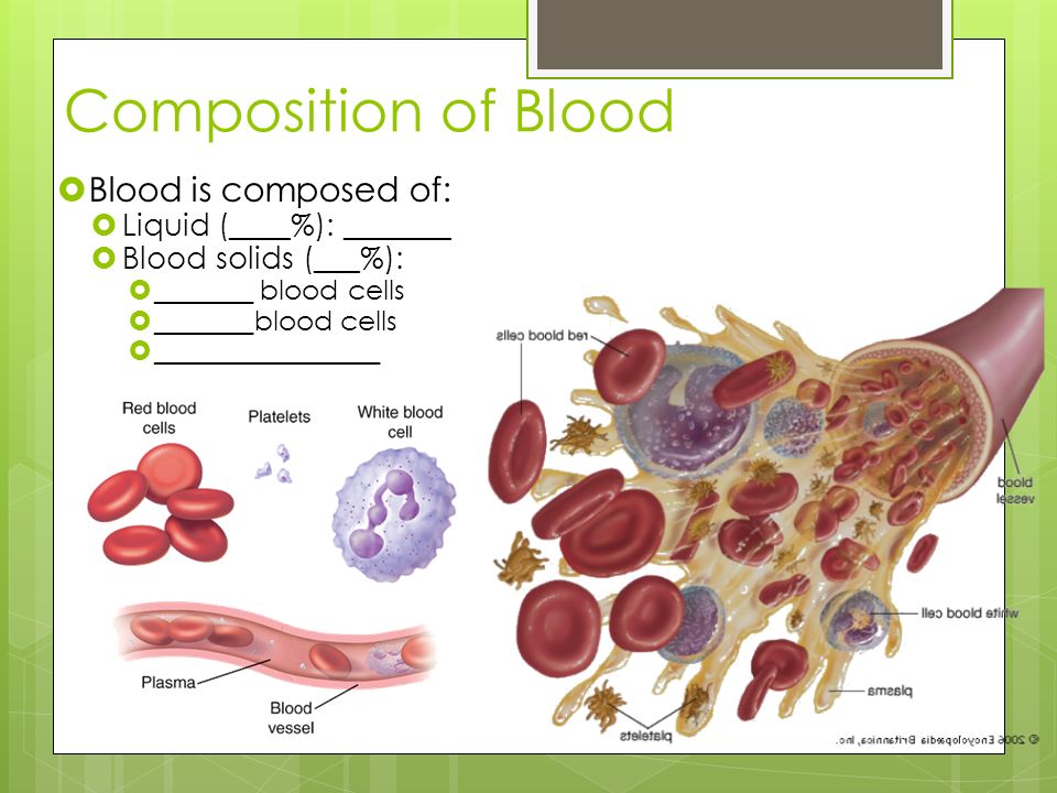 Composition of Blood Blood is composed of: Liquid (____%): _______