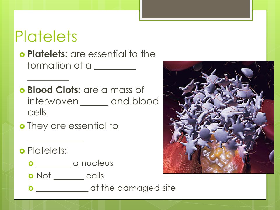 Platelets Platelets: are essential to the formation of a _________ _________. Blood Clots: are a mass of interwoven ______ and blood cells.