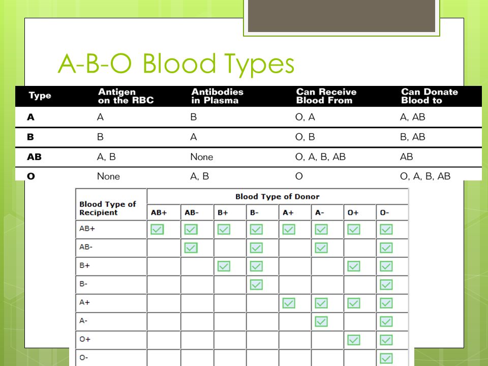 A-B-O Blood Types Activity Universal Donor, Universal Receiver