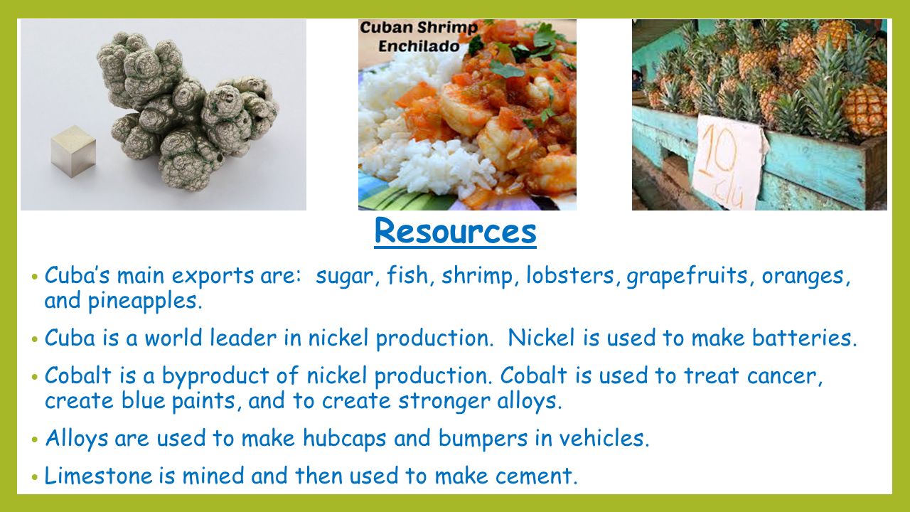 Resources Cuba’s main exports are: sugar, fish, shrimp, lobsters, grapefruits, oranges, and pineapples.