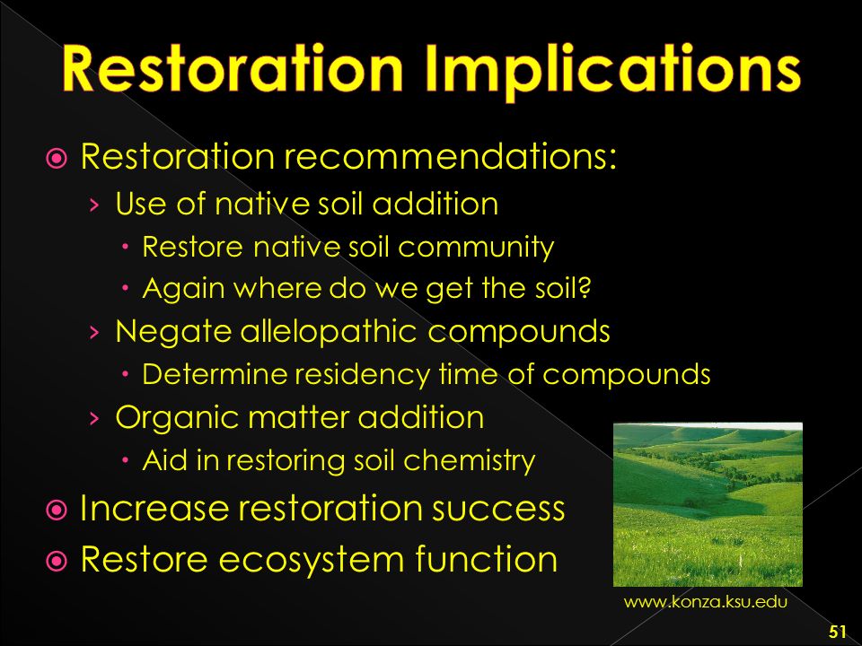Restoration Implications