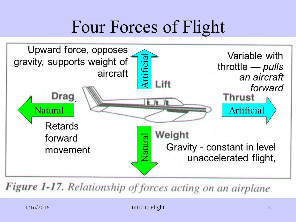 Theory of Flight All are demonstrated by the flight of the bird! - ppt  video online download