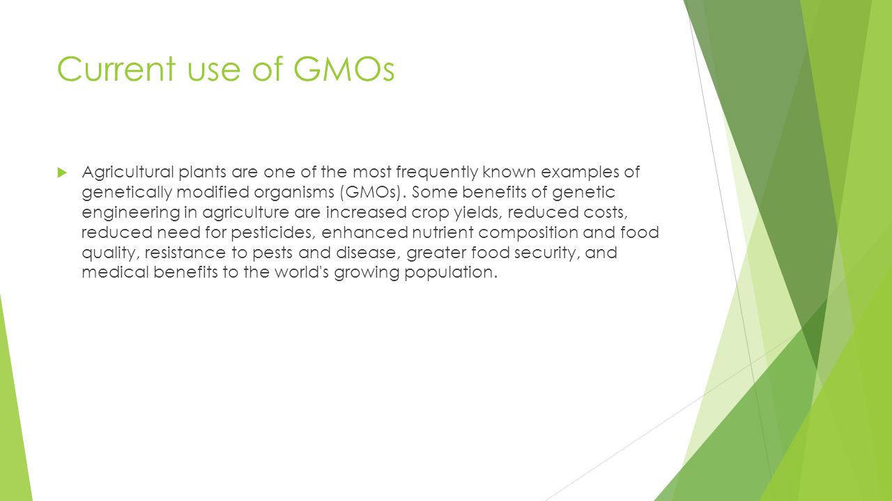 2 Partial Project Biotechnology Genetically Modified Organisms Ppt Download