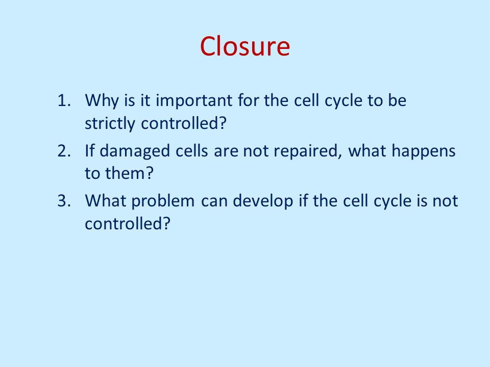 Lesson 51 Mitosis Web Quest Day 1 Ppt Download If one daughter cells after mitosis has 9 single chromosomes and the other has 9 single chromosomes and 1 double. lesson 51 mitosis web quest day 1