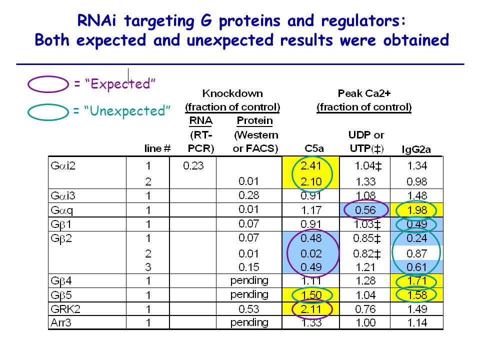 RNAi targeting G proteins and regulators: Both expected and unexpected results were obtained
