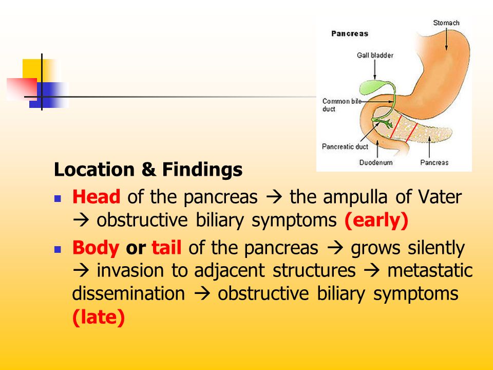 Location & Findings Head of the pancreas  the ampulla of Vater  obstructive biliary symptoms (early)
