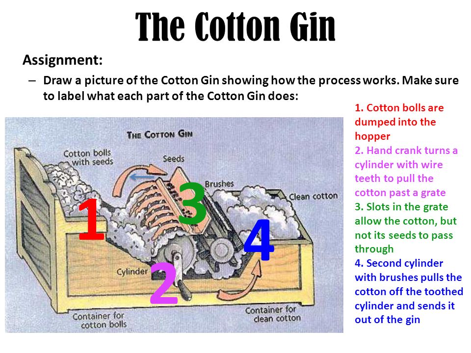 The Cotton Gin Assignment.