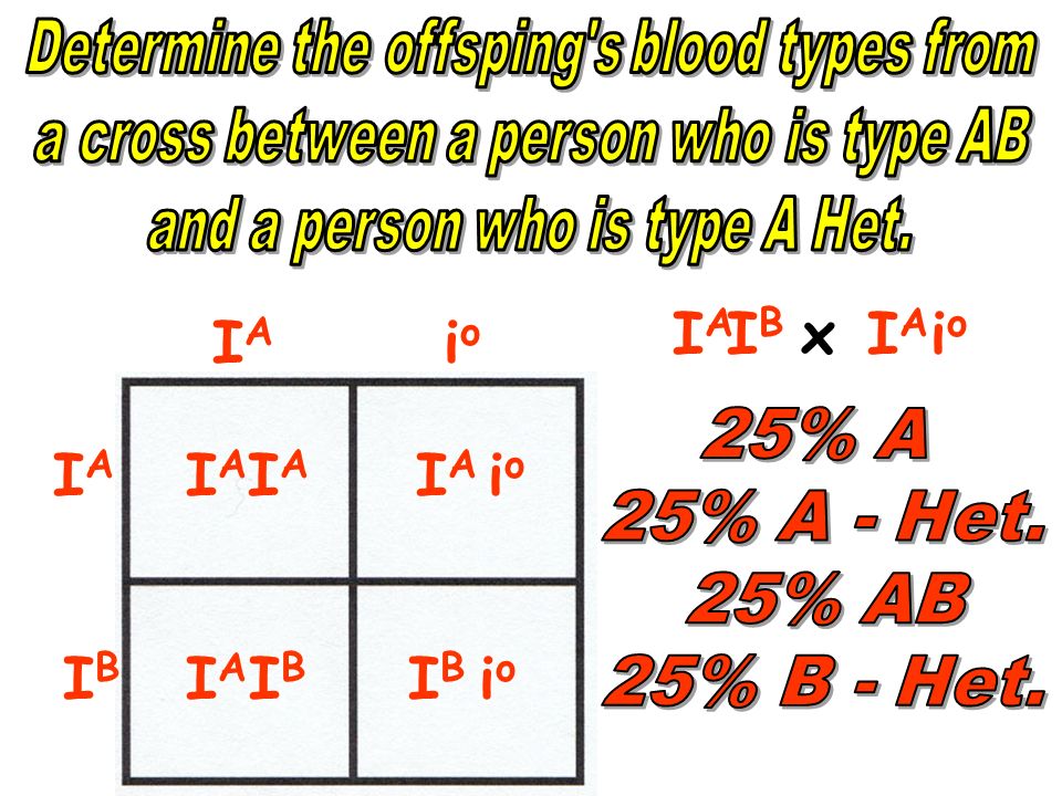 How To Determine Blood Type With Punnett Square
