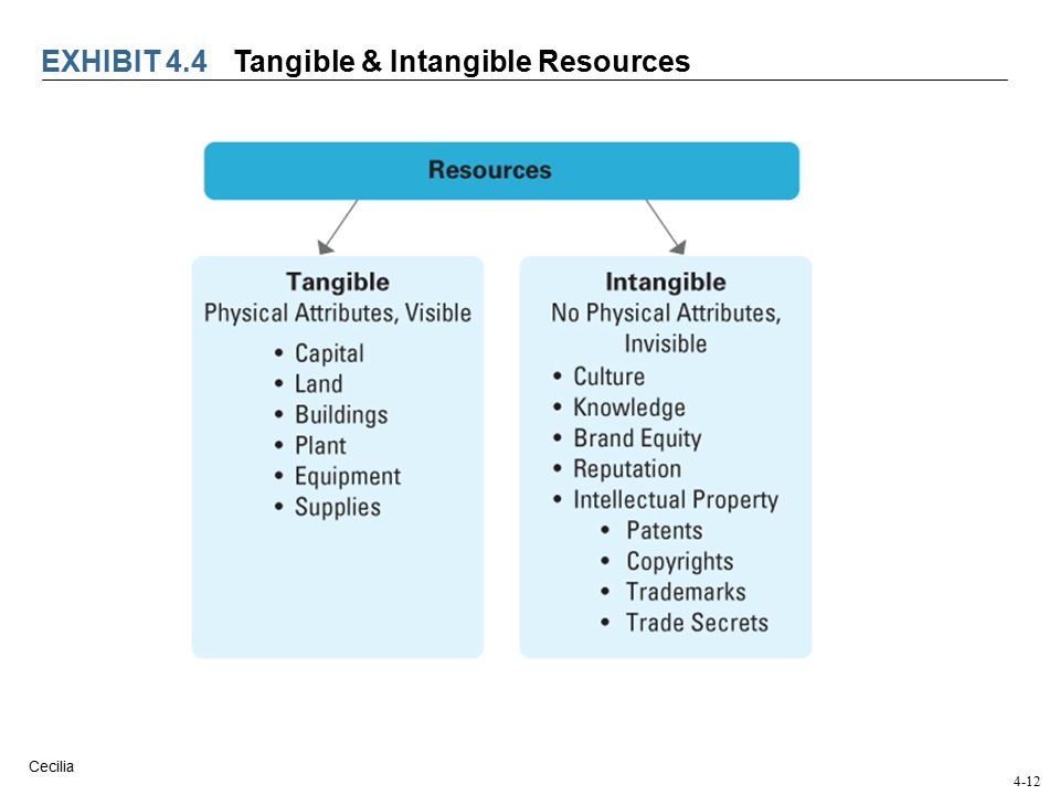 tangible and intangible resources