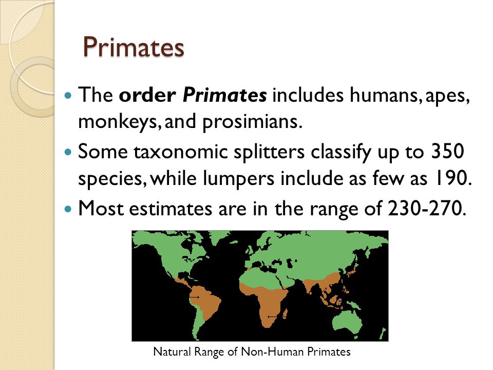 Human Evolution Ppt Video Online Download Human Evolution Ppt Video Online Download
