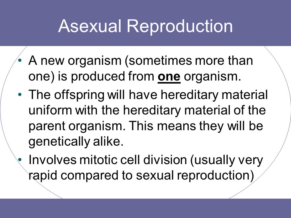 Types of Asexual Reproduction - ppt download
