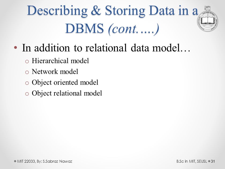 describing and storing data in dbms
