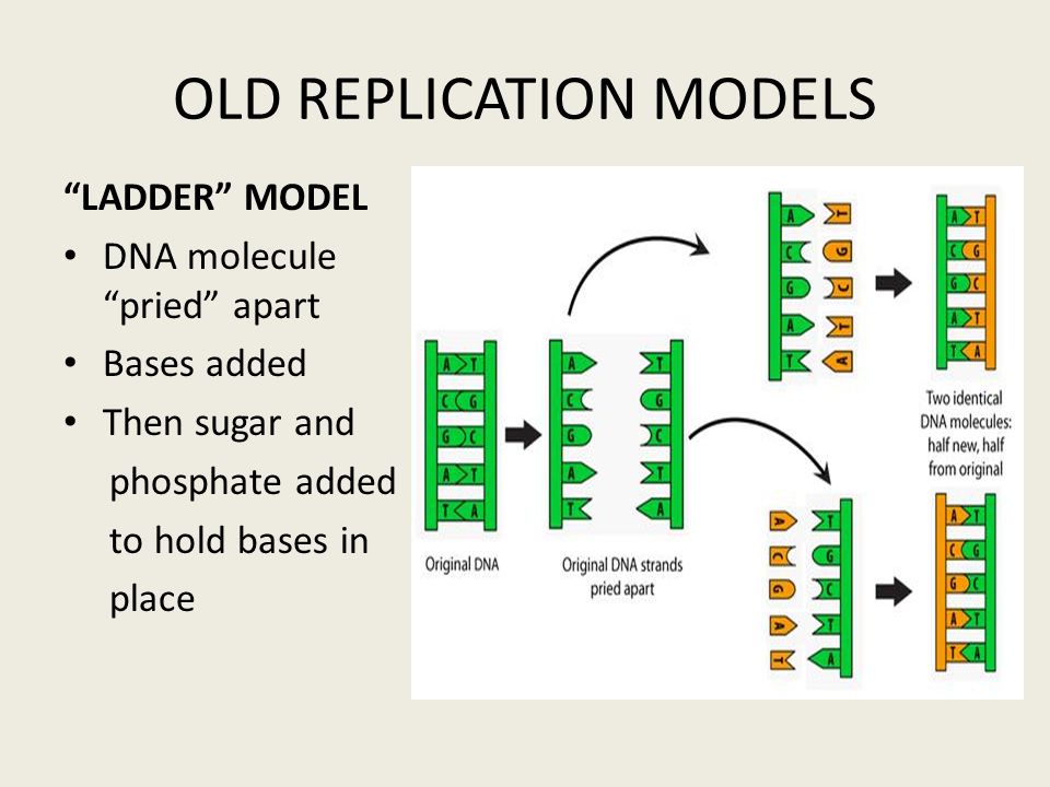 OLD REPLICATION MODELS