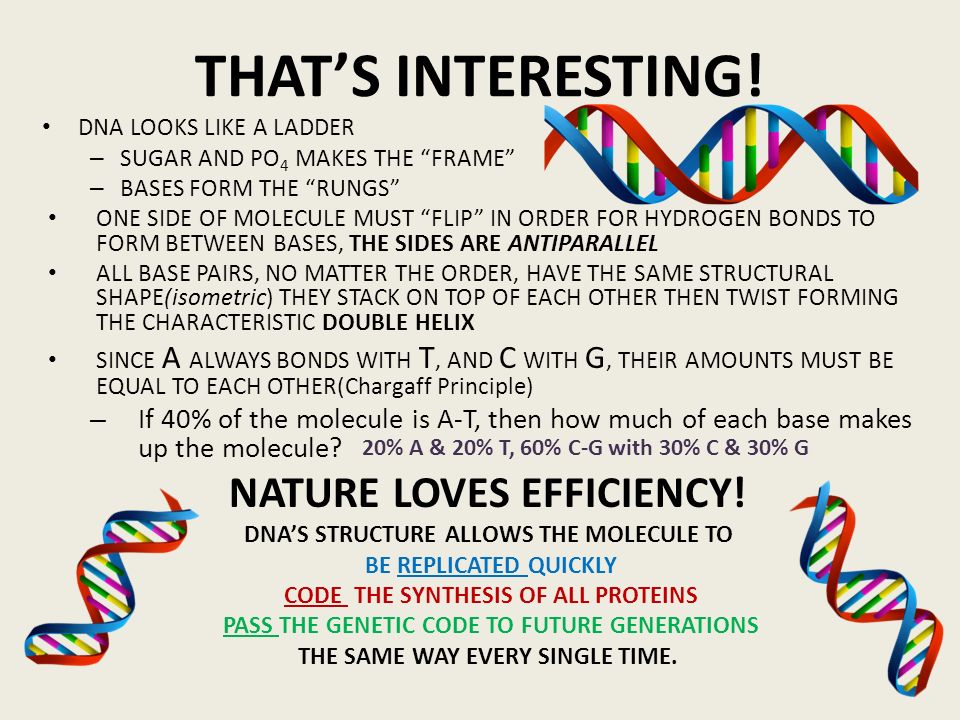 THAT’S INTERESTING! NATURE LOVES EFFICIENCY!
