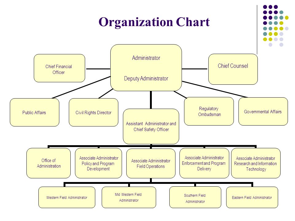 Fmcsa Org Chart