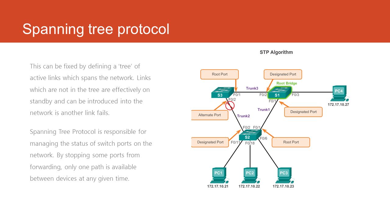 Span сети. Протокол spanning-Tree. Технология spanning Tree. STP Cisco. Построение STP дерева.
