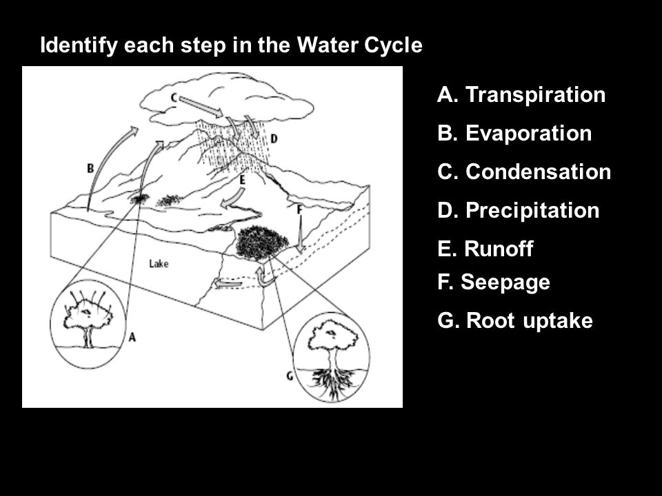 Identify each step in the Water Cycle