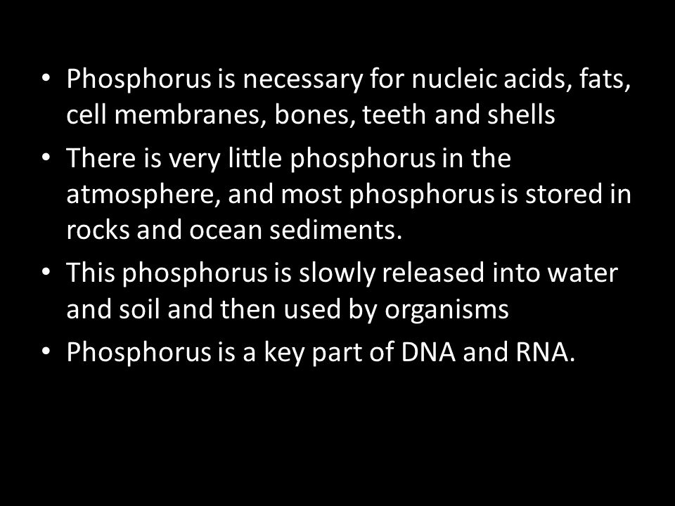 Phosphorus is necessary for nucleic acids, fats, cell membranes, bones, teeth and shells