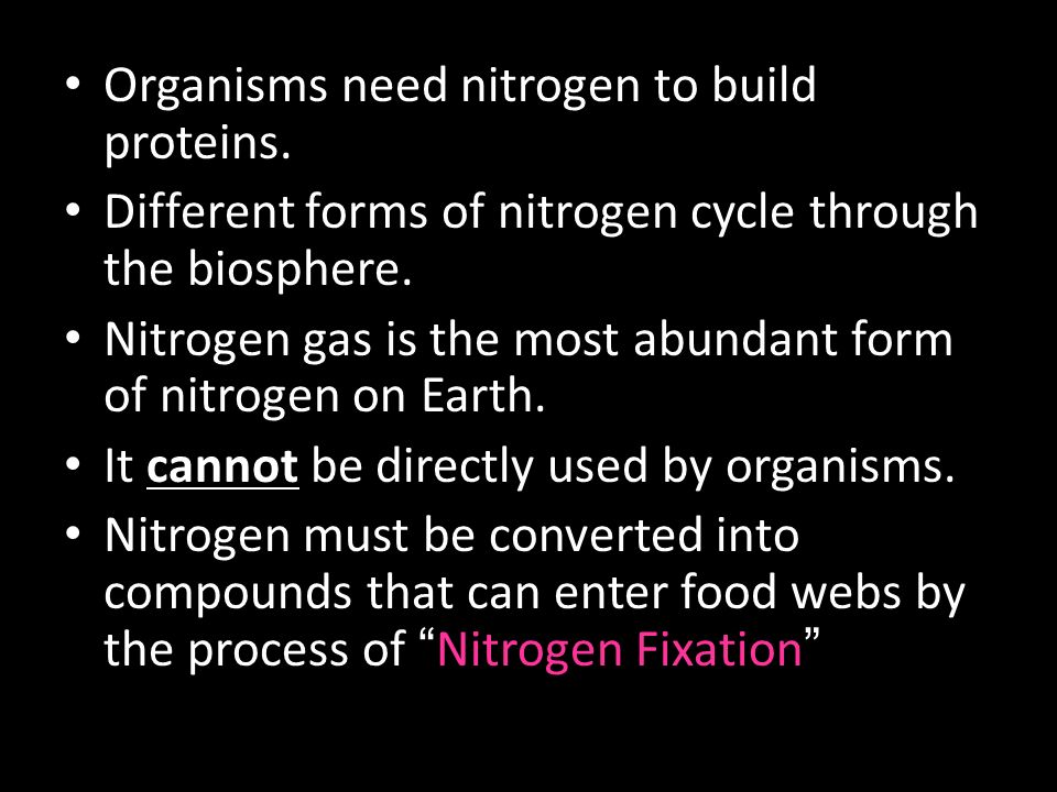 Organisms need nitrogen to build proteins.