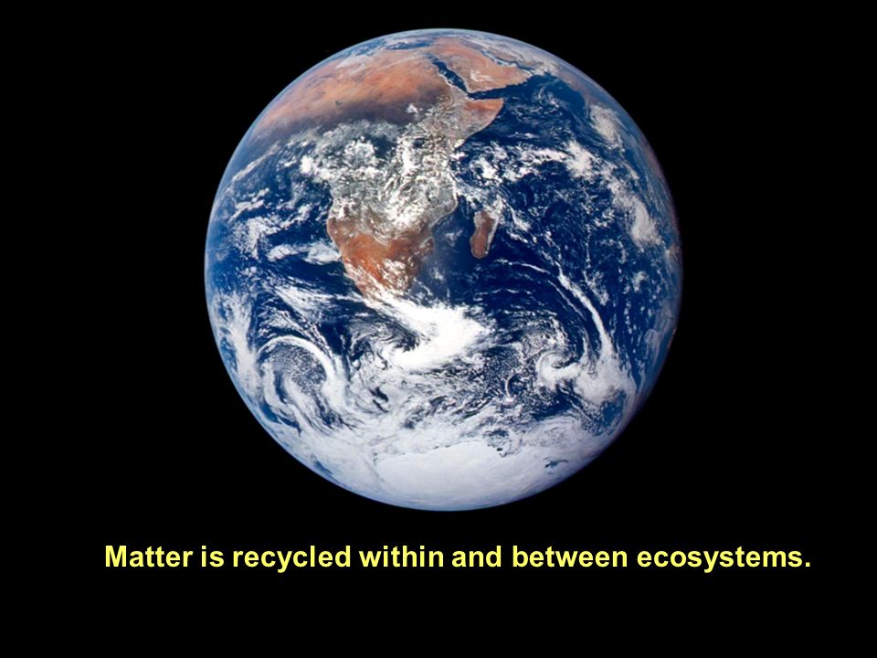 Earth Photo Matter is recycled within and between ecosystems.