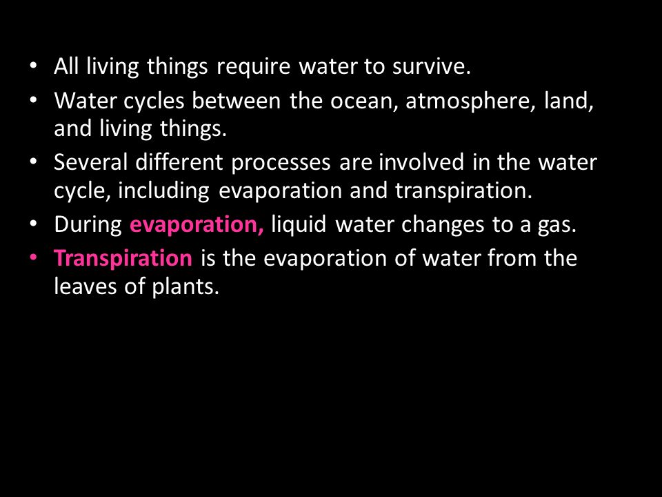 All living things require water to survive.