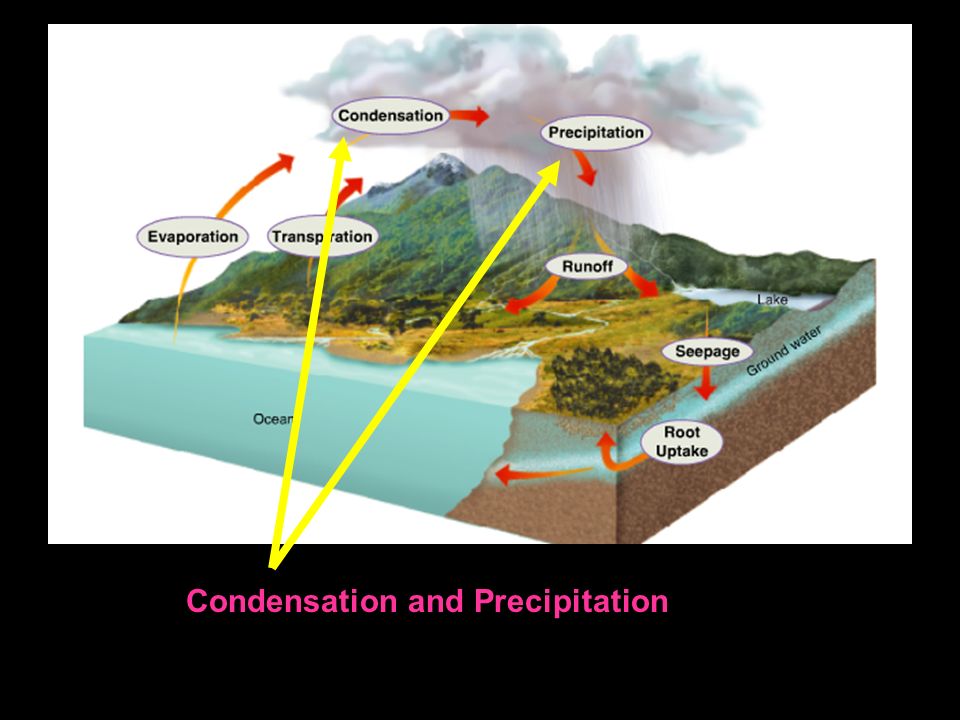 Condensation and Precipitation