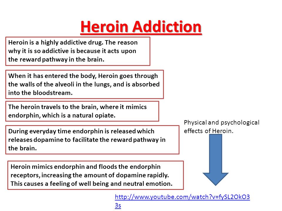 Heroin Addiction Heroin is a highly addictive drug. The reason why it is so addictive is because it acts upon the reward pathway in the brain.