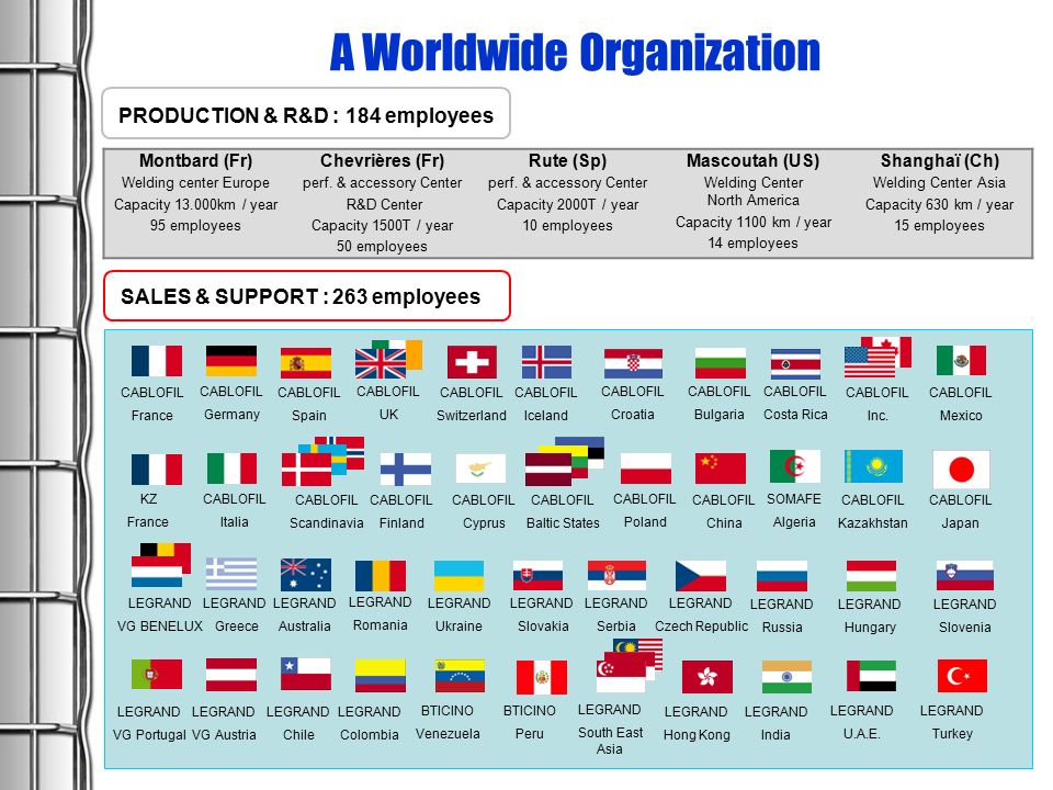 A Worldwide Organization