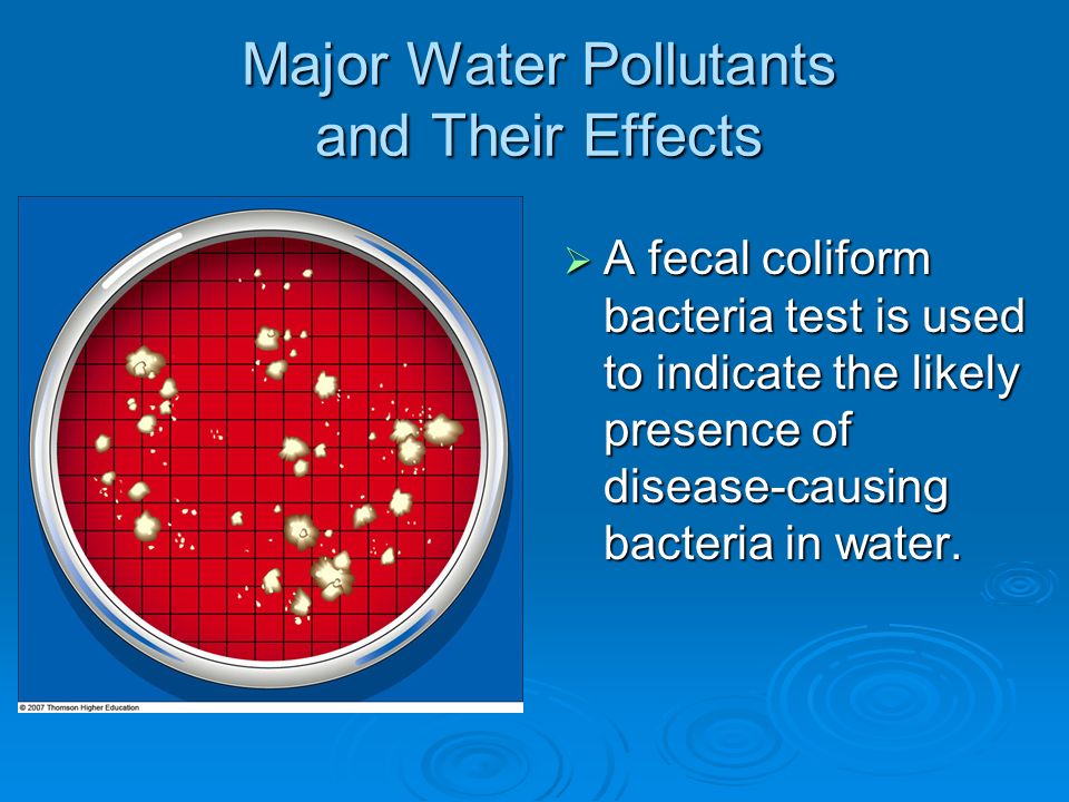 Major Water Pollutants and Their Effects