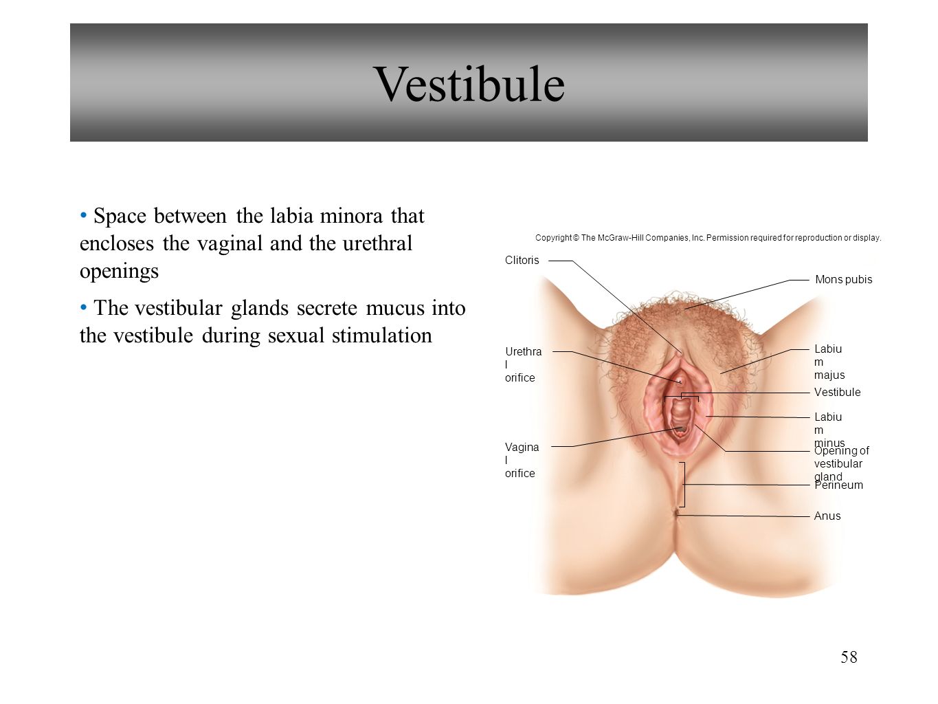 References in vaginal birth after caesarean section