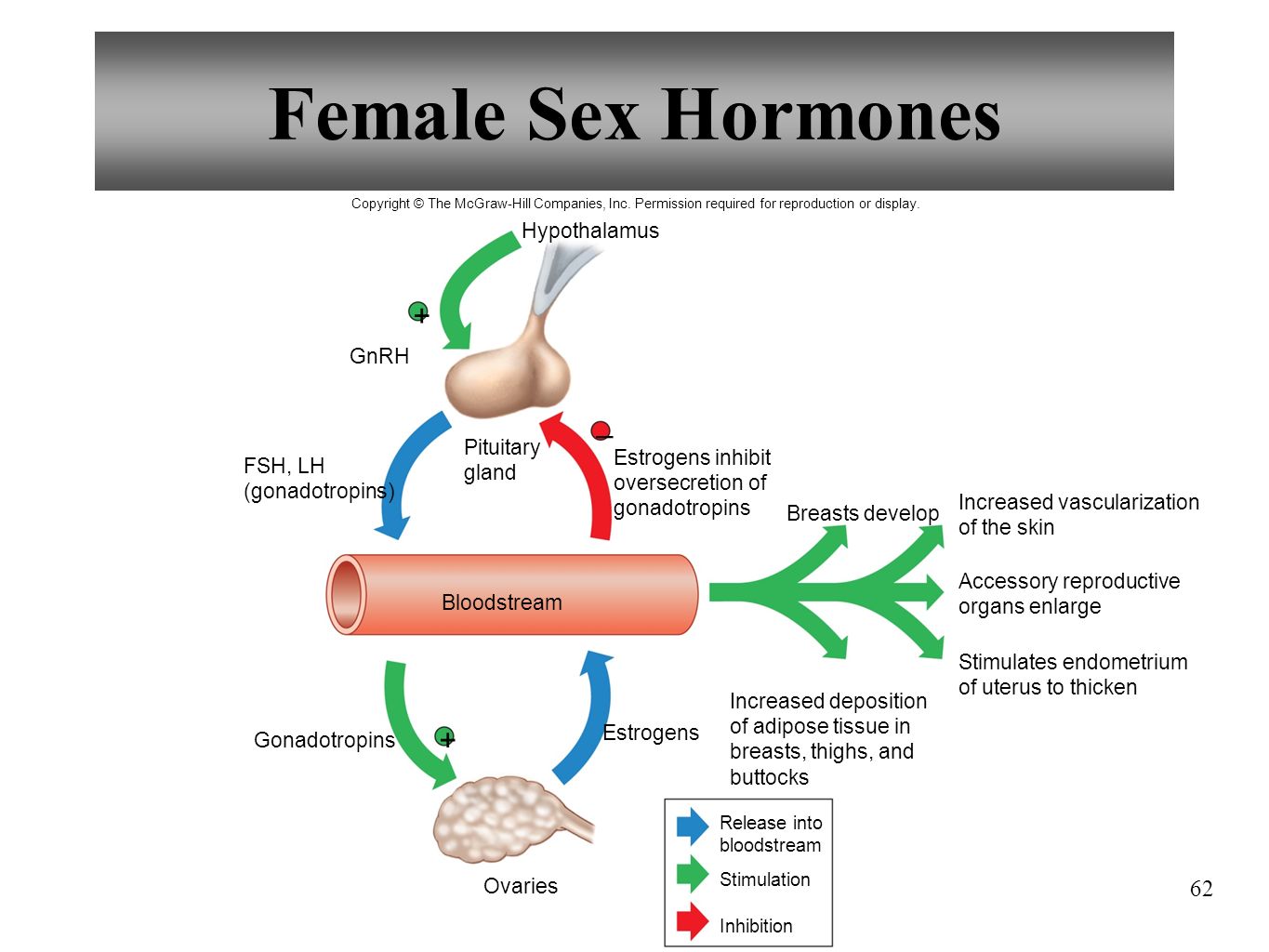 мастурбация половые гормоны фото 42